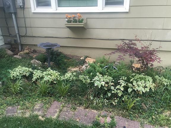 4th image of 3812 S Drumm Ave