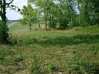 445 Chrisman Oaks Trl photo 1