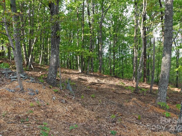 55 Arbra Mountain Rd, Bostic, NC 28018