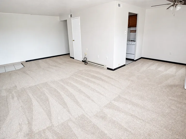 Carpeted 1 Bed/1 Bath (Unit 501)