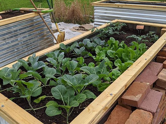 huge garden with water and electricity access