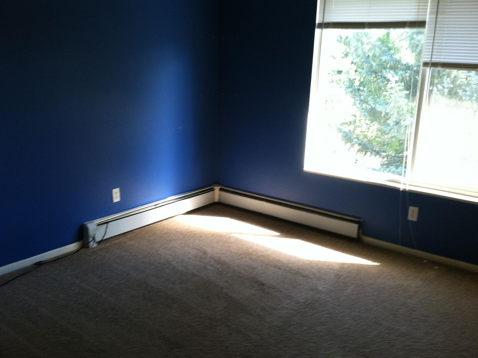 219 5th Ave 1/2, Lyons, CO 80540 Zillow