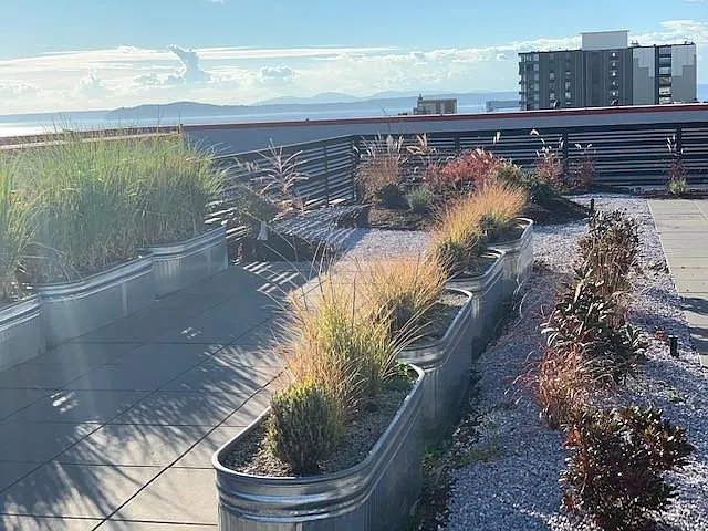 Queen Anne Flats — Photo 15