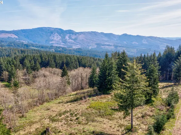 0 NE 298th Ct, Camas, WA 98607