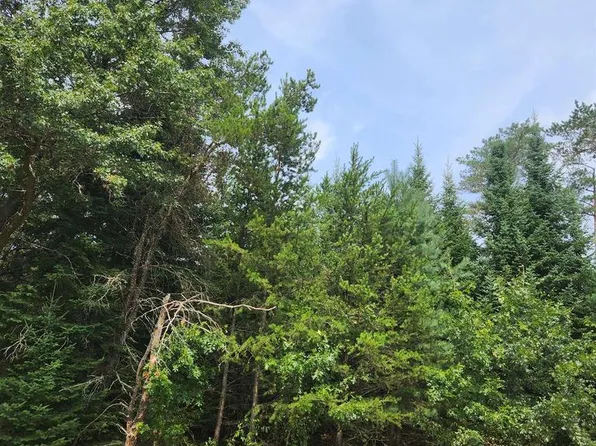 Parcel #0703692 DEWBERRY LANE, Wisconsin Rapids, WI 54494