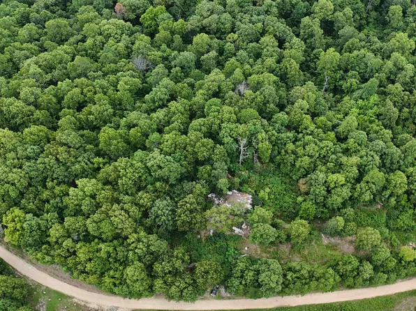 1267 Brushy Fork Rd, Yellville, AR 72687