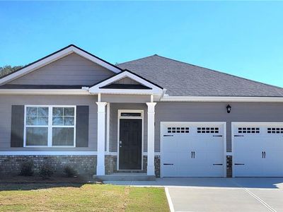 142 Oakchase Park Ln, Hampton, GA, 30228