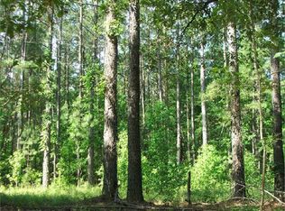 356 Maple Branch Rd, Sylvania, GA 30467