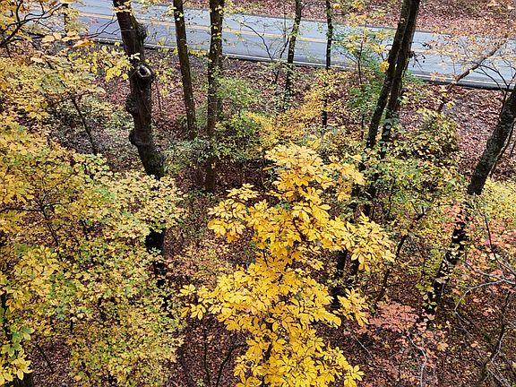3rd image of 0 Lower River Rd NW
