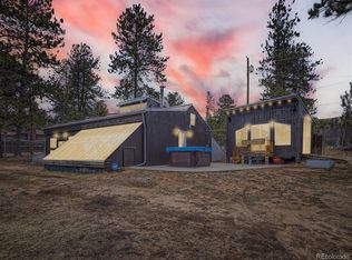 45 Fitzsimmons Rd, Bailey, CO 80421