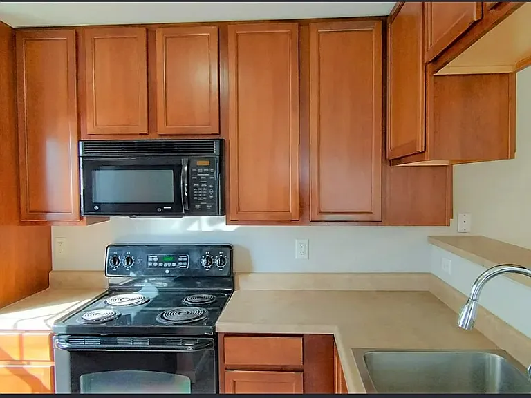 3202 Spring Creek Ln — Photo 4