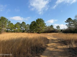 Johnson Rd, Sandy Hook, MS 39478