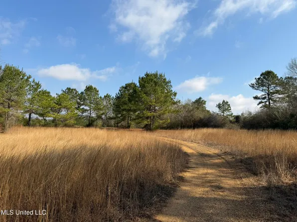 Johnson Rd, Sandy Hook, MS 39478