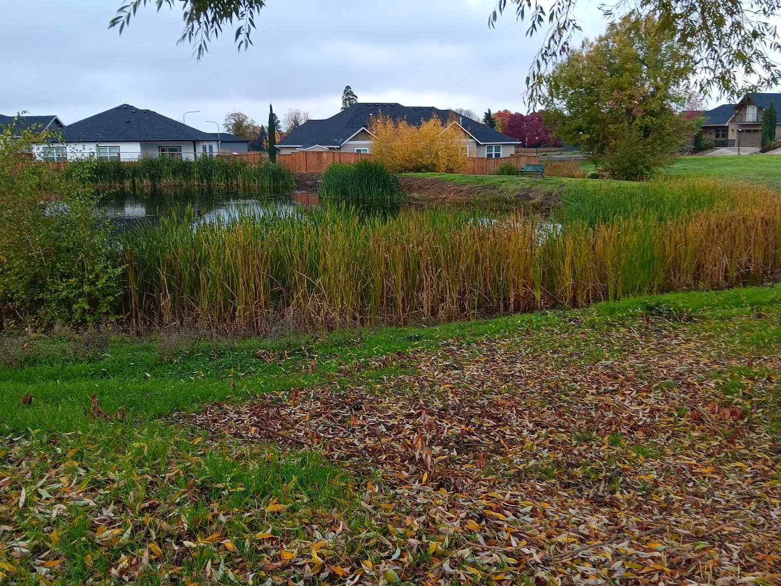925 Callaway Dr — Photo 2