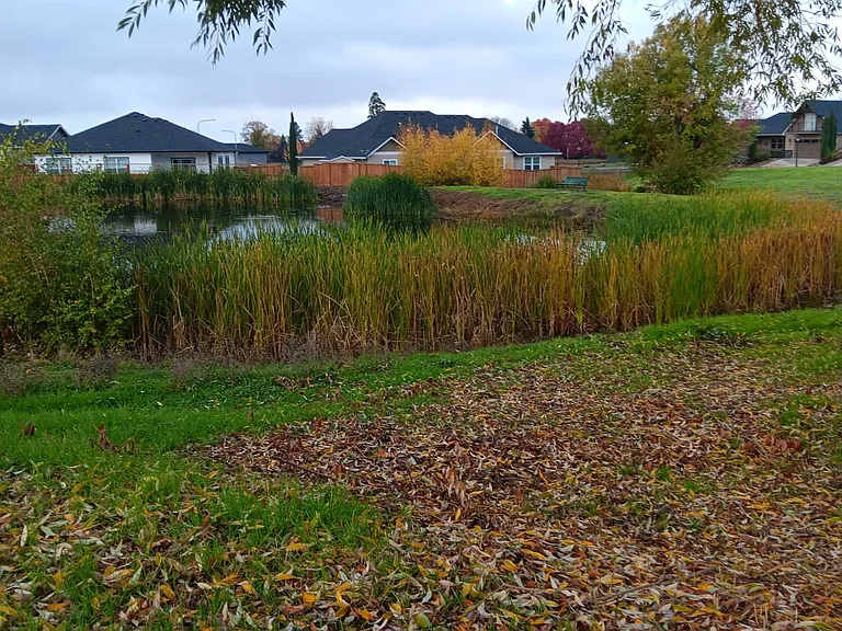 Callaway Dr — Photo 2