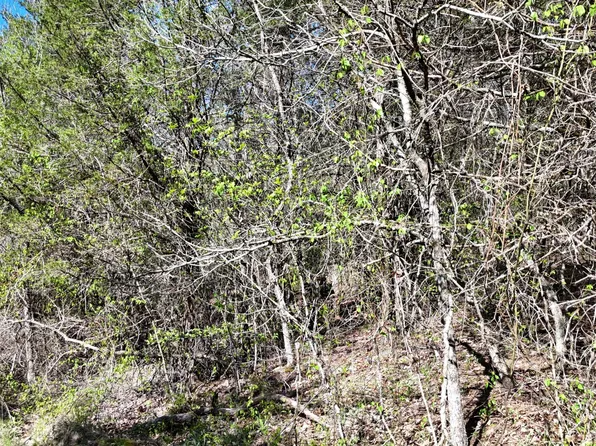 Lot #50 Gumbo Woods, Shell Knob, MO 65747