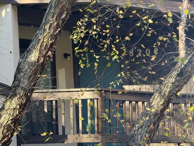 8202 Cedar Glen Dr, Charlotte, NC, 28212