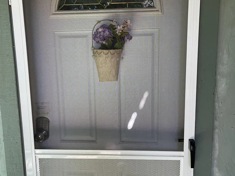 Entrance door
