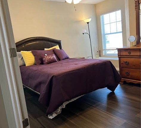 3rd image of 4137 Shadetree Ln