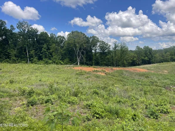 14 Laura Boling Loop Rd Lot 14, Strawberry Plains, TN 37871