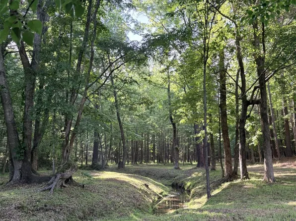 4602 Pebble Shore Dr, Opelika, AL 36804