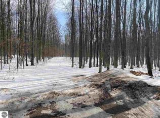 0 Schichtel Rd, Kingsley, MI 49649