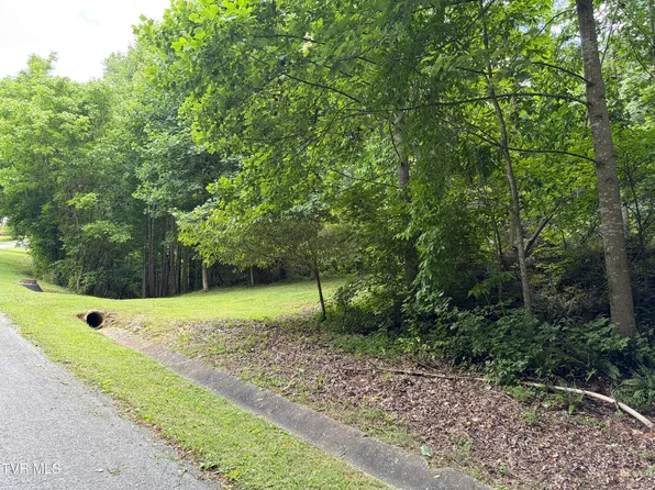 Woodhurst Dr, Weber City, VA 24290