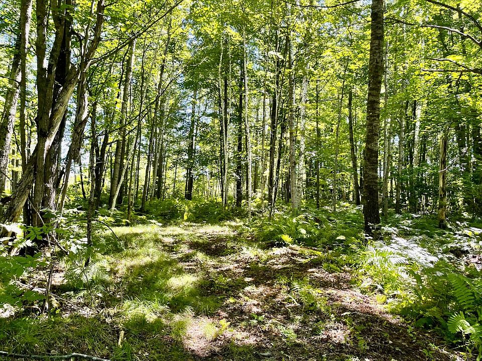 On Solberg Lake Rd E, Phillips, WI 54555 MLS 203549 Zillow