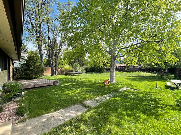 Backyard & back deck