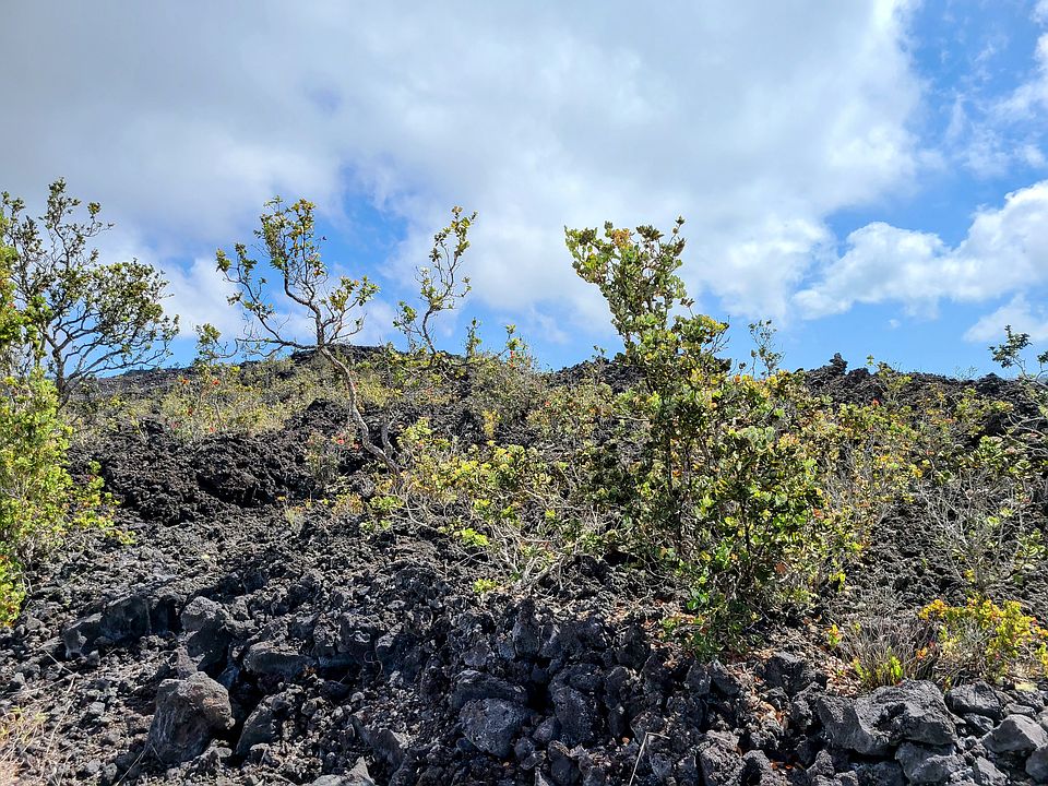 1st image of Lot 21
