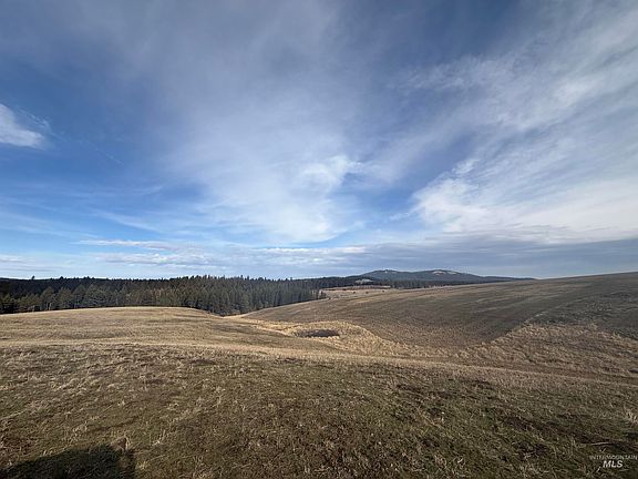 4th image of Rieman Rd