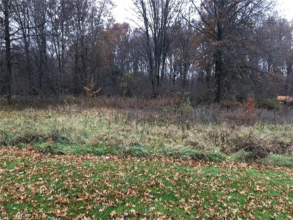 V L Pleasant Valley photo 1