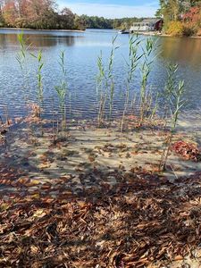 0 Lakeview Ave, Plymouth, MA, 02360