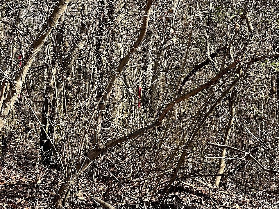 2nd image of 0 Semper Fidelis Rd #6