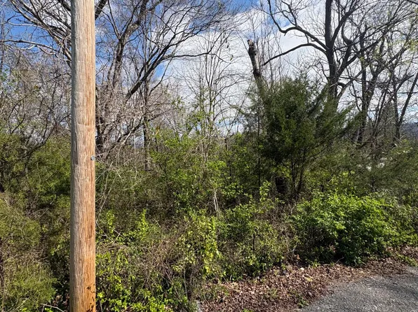 113 Alabama Ave, Etowah, TN 37331