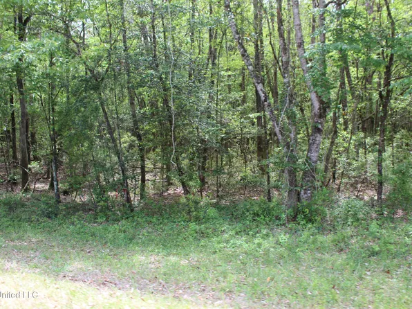 Rousanville Rd, Leakesville, MS 39451