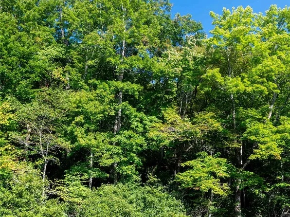 0 Sanctuary Dr, Burnsville, NC 28714