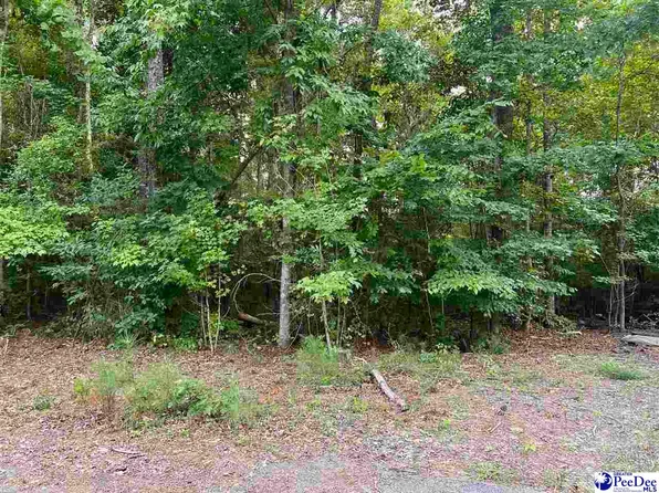 257 Pineneedle Cir, Johnsonville, SC 29555