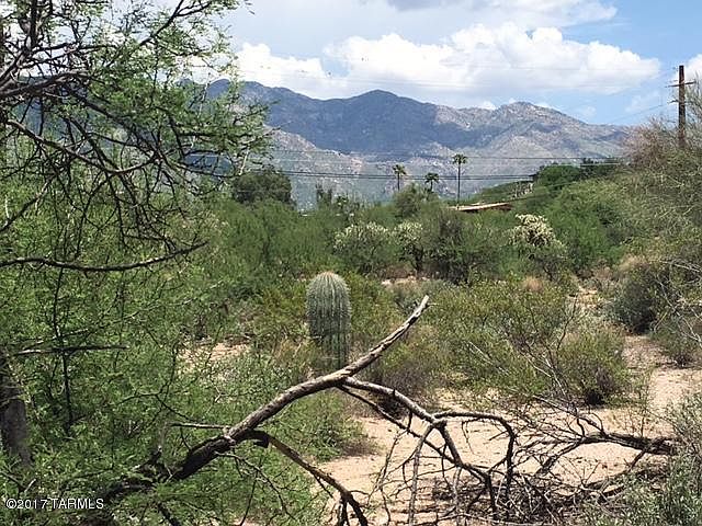 1st image of 4544 N Flecha Dr #17