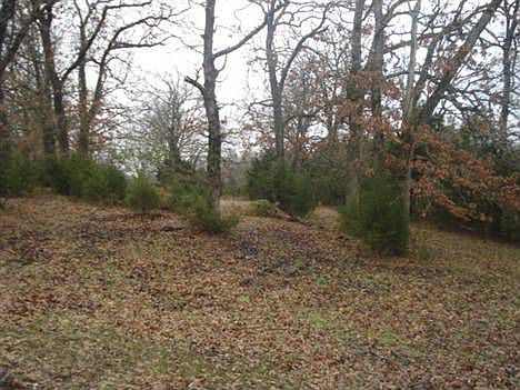 4th image of 42881 Curtis Ln