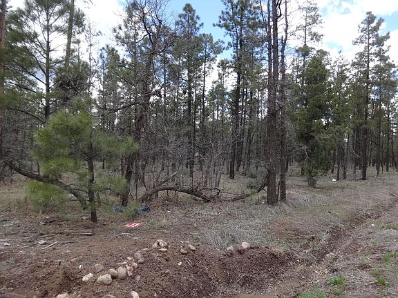 4th image of LOT 23 Richardson Ln