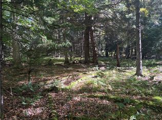 Moehs Rd #10, Old Forge, NY 13420