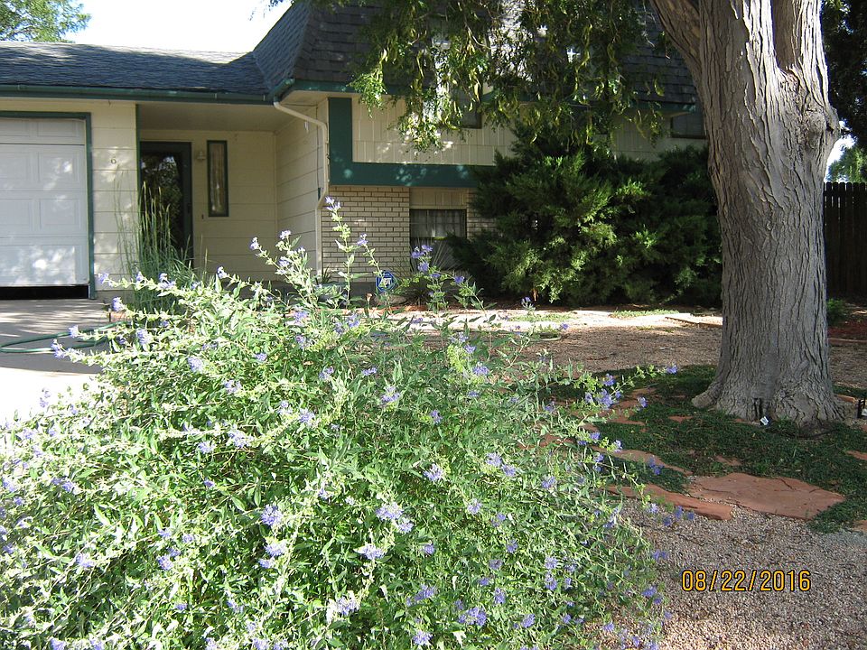 1st image of 6 Chicory Ct