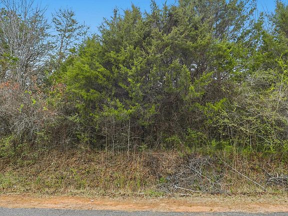 4th image of 0 Hulon Howard Rd