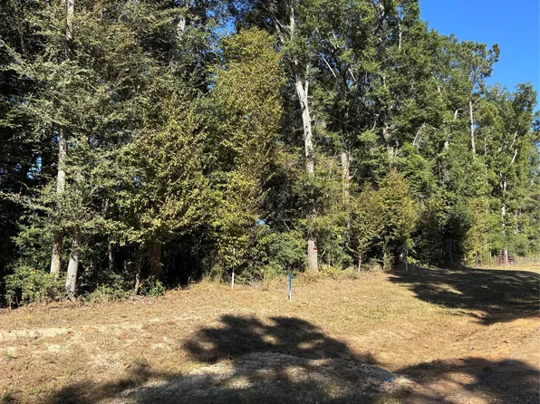 0 L C Herschap Ln Lot 66-68, Livingston, TX 77351