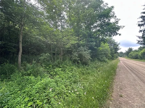 Flat Iron Rd, Hunt, NY 14846