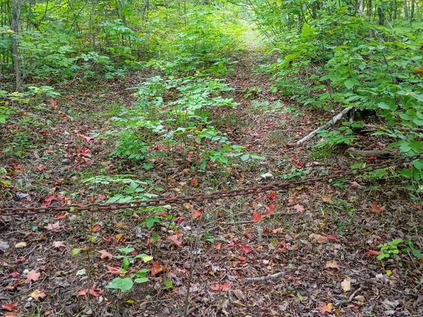 V/l 116ac Clinton Creek Rd, Presque Isle, MI 49777