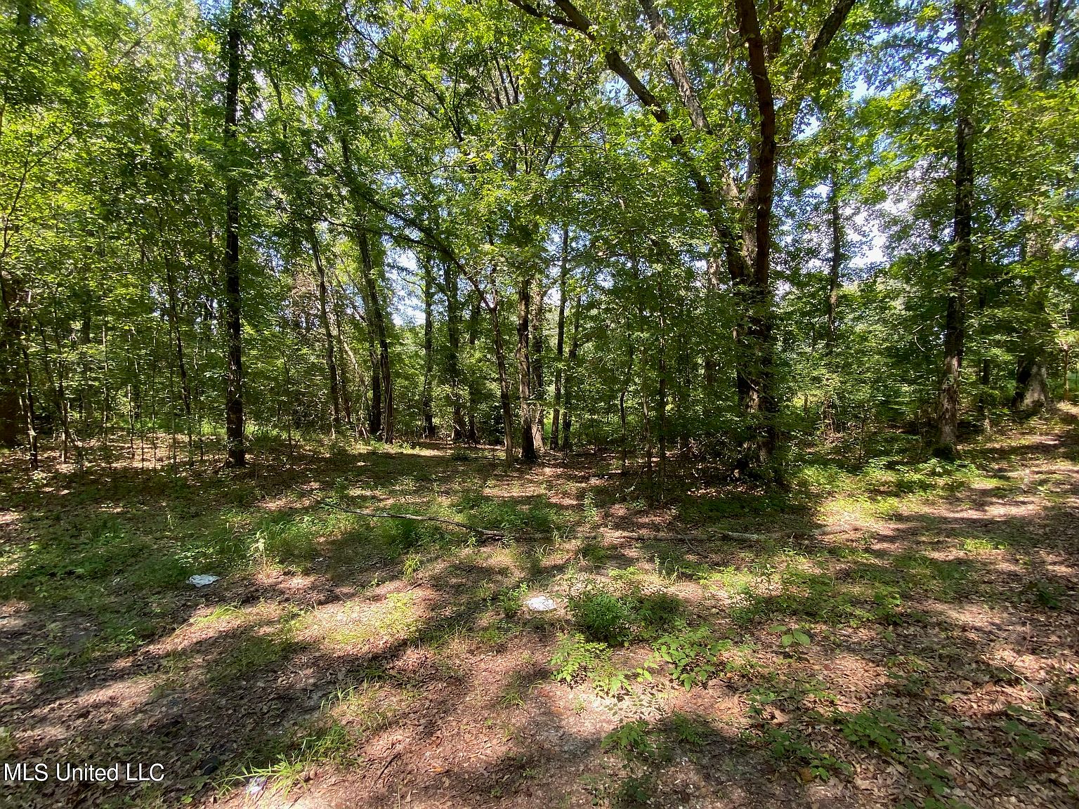 0 Stateline Rd, Walls, MS 38680 | Zillow