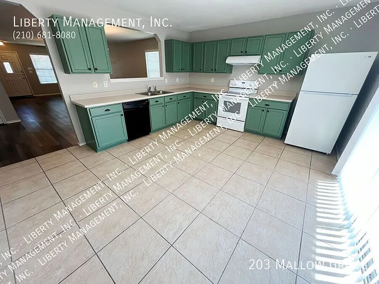 203 Mallow Grv — Photo 17