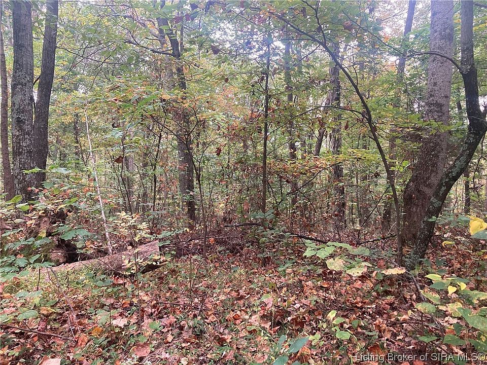 2nd image of Tract 3 E Pilot Knob Road
